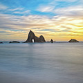 Martin's Beach Golden Hour