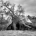 Squaw Valley old house